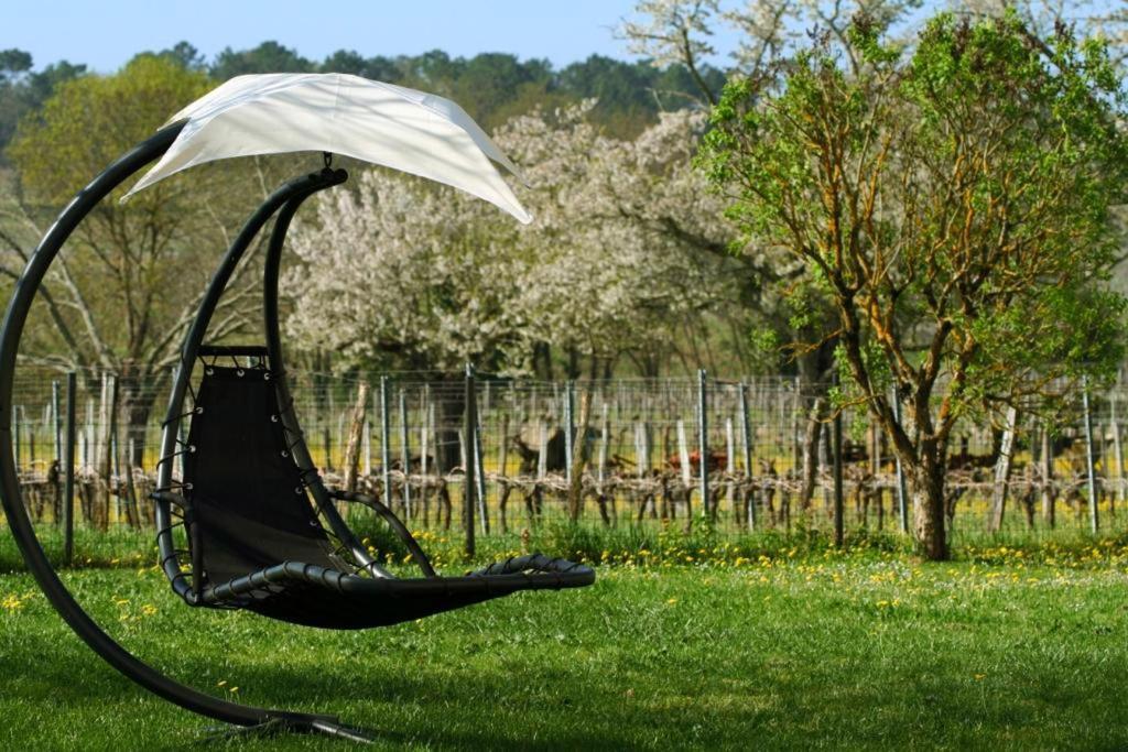 Bleu Raisin Acomodação com café da manhã Les Salles-de-Castillon Exterior foto